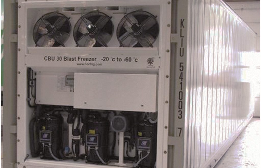 IQF tunnel freezer manufacturer - IQF tünel tipi dondurucu üreticisi,