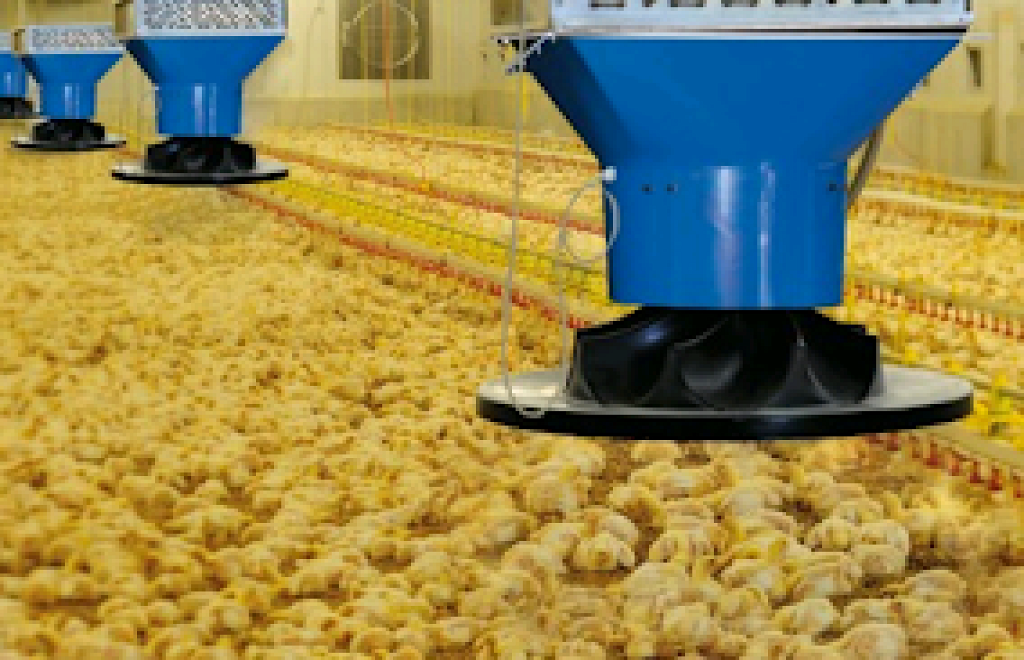 Tavuk çiftligi ısıtma ısı pompası